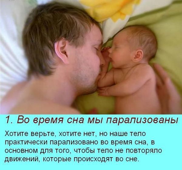 1 Во время сна мы парализованы Хотите верьте хотите нет но наше тепа практически парализовано во время сна в основном для того чтсбы тело не повторапо движении каторые происходят во сне