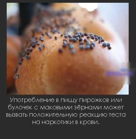 УпотребАение в пищу пирожков иди будочек МОКОБЫМИ зёрнаии Может вызвать ПОАожигехьную реакцию тесто но наркотики в крови