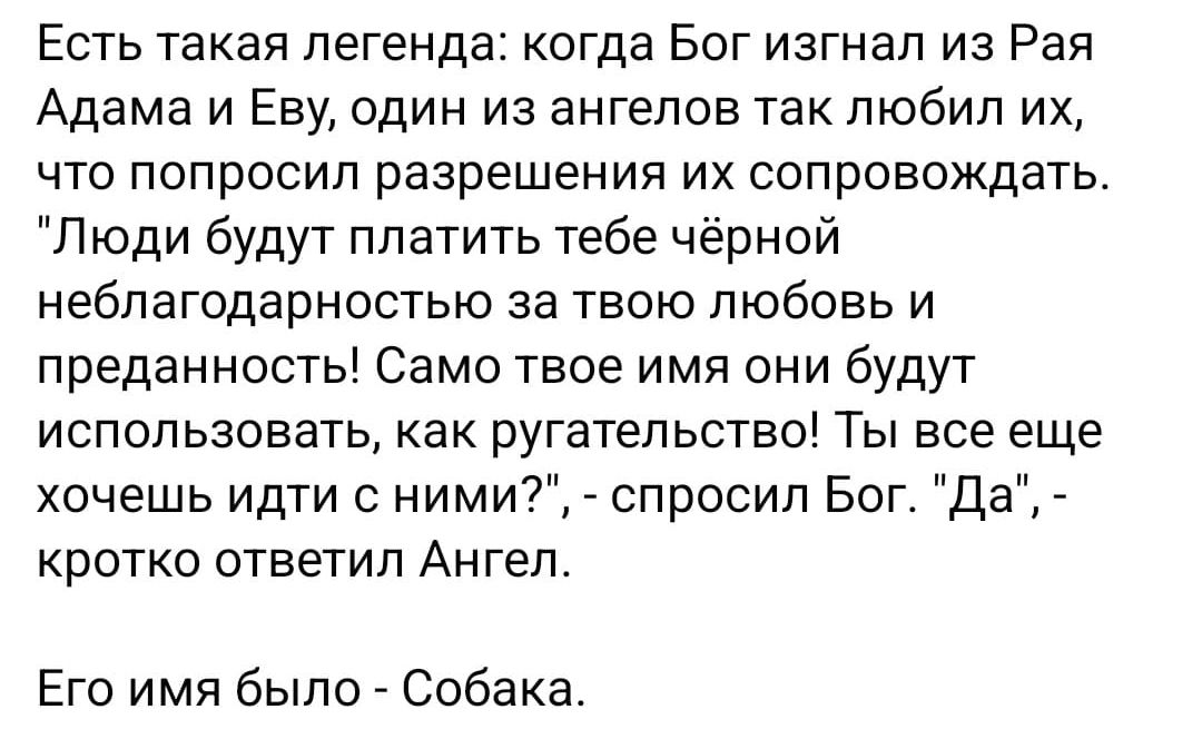 Есть такая легенда когда Бог изгнал из Рая Адама и Еву один из ангелов так любил их что попросил разрешения их сопровождать Люди будут платить тебе чёрной неблагодарностью за ТВОЮ ЛЮБОВЬ И преданность Само твое имя они будут ИСПОЛЬЗОВЭТЬ как ругательство ТЫ все еще хочешь идти с ними _ спросил Бог Да КрОТКО ОТВЭТИП АНГЕЛ Его имя было Собака