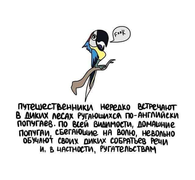 пугающими в диких шах Питта тчоинглиш пошта по шп шими домашие пошти светит на Маю нешто овмюг ших диким швгитъев пени и ъцдстнюти татами