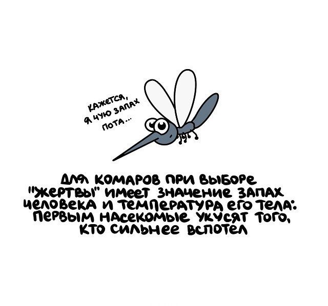 комдив пм выше жатвы имеет заменив здпм пишим и темпщтум по тем мпыи мамами шмат тот итп симмее щим