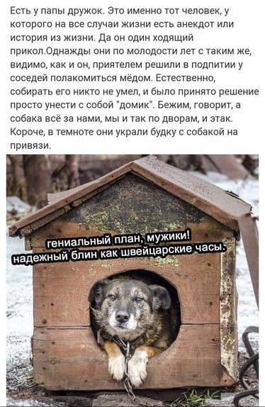 Есть у папы дружок Эю именно тот человек у которого на все случаи жизни есть анекдот или исюрия из ЖИЗНИ да он один ходящий прикол Однажды они по молодости лет с таким же видимо как и он приятелем решили в подпитии у соседей полакомиться медом Епестввнио собирать его никто не умел и было принято решение просто унести собой домик Бежим говорит а собака все за нами мы и так по дворами этак Короче те