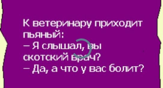 К ветерунару тиходит гъяъьй Я слышал скотший Даачтоувасбомт