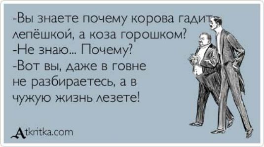 Вы знаете почему корова пшик Аепёшкой а коза горошком Не знаю Почему Вот вы даже в говне не разбираетесь а в чужую жизнь Аезете Агишев