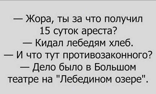 Жора ты за что получил 15 суток ареста Кидал лебедям хлеб И что тут противозаконного Дело было в Большом театре на Лебедином озере