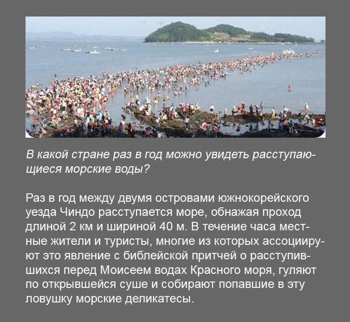 в каком стране раз в год можно увидеть расступа щиеся морские виды Раз в год между двумя островами южнокорейского уезда чиндо расступаегся море обнажая проход длиной 2 км и шириной 40 м в течение часа месте ные имени и турисгы многие из хитрых ассоцииру ют это явление с библейской притчеи о расотулие шихся перед Моисеем водах Красного моря гуляш ло открывшейся суше и собирают попавшие в эту ппнушк