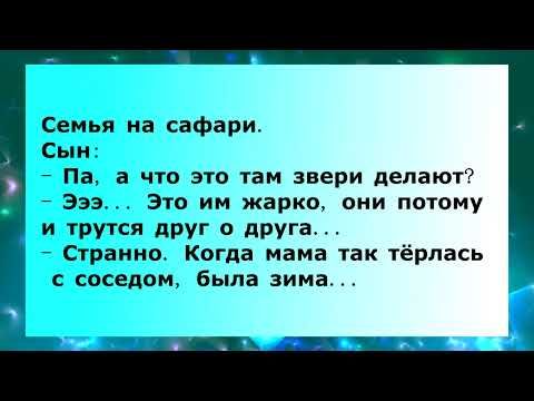 огтам звери делают 1414 жарко они почему егда мама пк тёрлась бдта зима