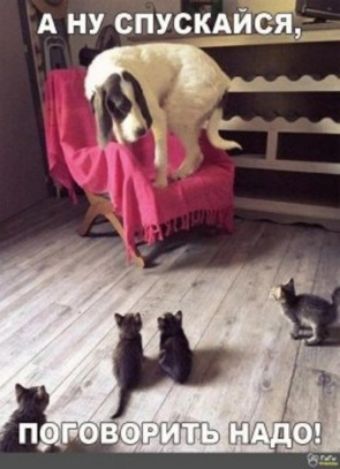 А ну спускдйсЁ _