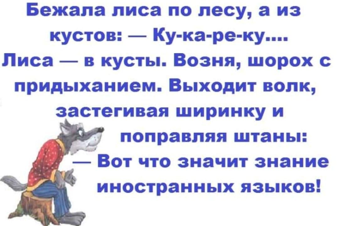 Бежала писа по лесу а из кустов Ку ка ре ку Лиса _ в кусты Возня шорох придыханием Выходит волк застегивая ширинку и поправляя штаны Вот что значит знание иностранных языков