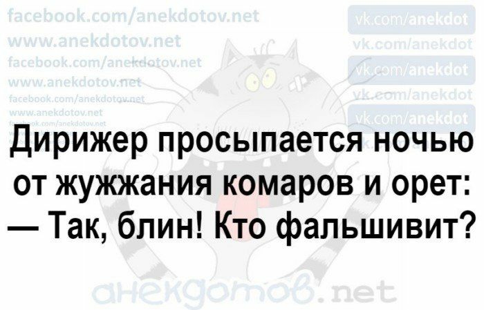 Дирижер просыпается ночью от жужжания комаров и орет Так блин Кто фальшивит шафтов пес