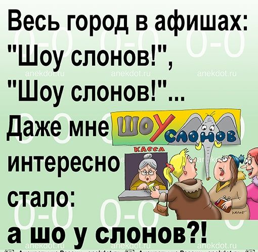 Весь город в афишах Шоу слонов Шоу слонов даже мне 0Ё кАсеА стало _Ё шо у слонов __ тд г ц _1А_т