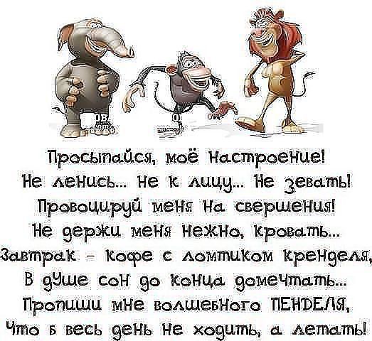Пресыпыіся моё Настроение Не дет ша не к 9 Не зевать Правоццрвп меня На свершения Не верхи меня нешто кровать Завтрак Кофе с АомтЦКом Кренэем В знше сон во Конца эомеЧтцтпь Пропишц мне БоАшЕБИого ПЕНЪЕЛя Что в весь зень не хоэцть съ Аетцты