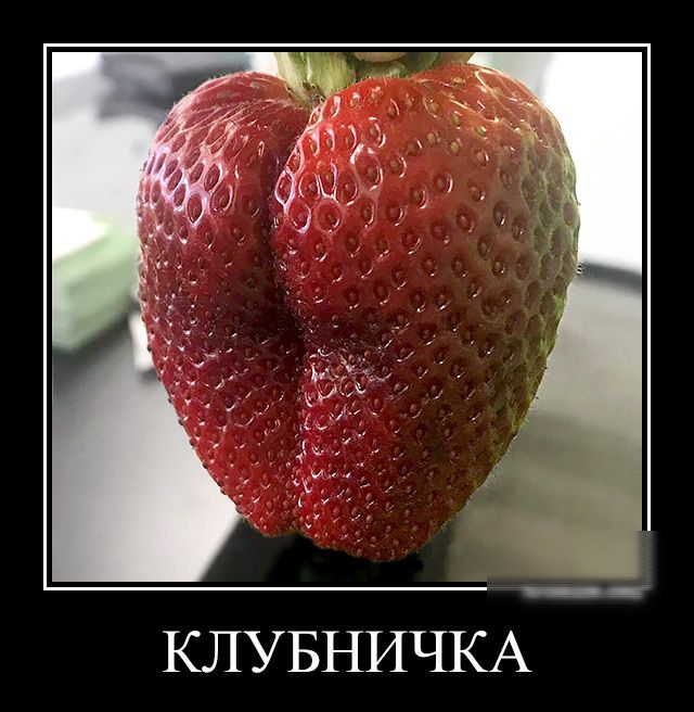 _птицил КЛУБНИЧКА