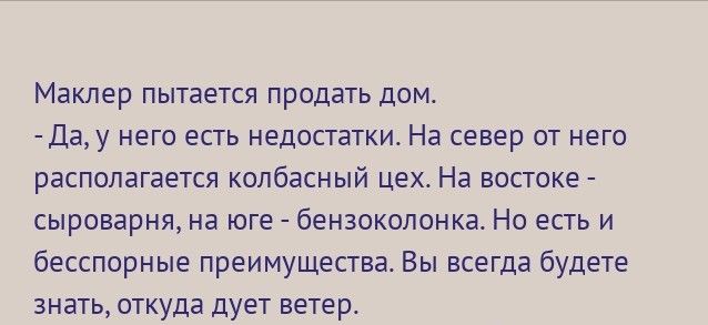 Маклер пытается продать дом да у него есть недостатки На север от него располагается кппбасный цех На востоке сыроварня на юге бензоколпнка Но есть и бесспорные преимущества Вы всегда будете знать откуда дует ветер