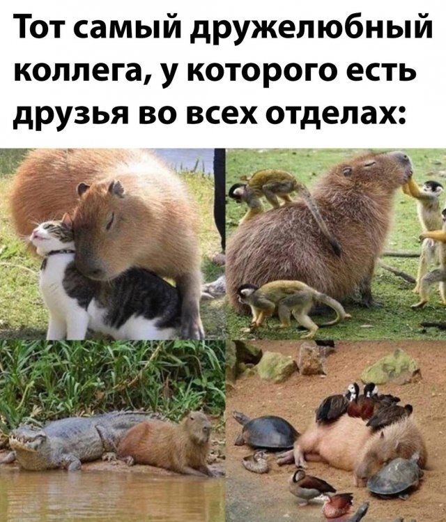 Тот самый дружелюбный коллега у которого есть друзья во всех отделах 4 1 ЁЁ д вх