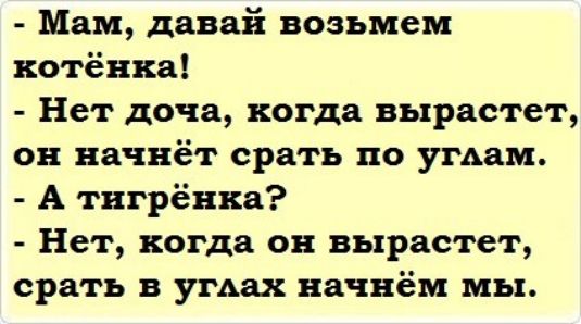 Мам давай возьмем котёнка Нет доча когда вырастет он начнёт срать по угАам А твгрёнкд Нет когда он вырастет срать в ушах начнём мы
