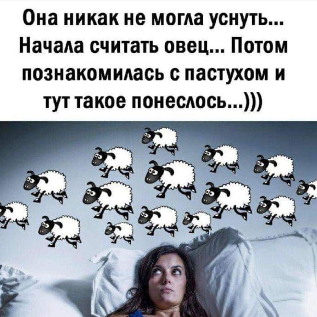 Она никак не могла уснуть Начала считать овец Потом познакомилась пастухом и тут такое понеслось