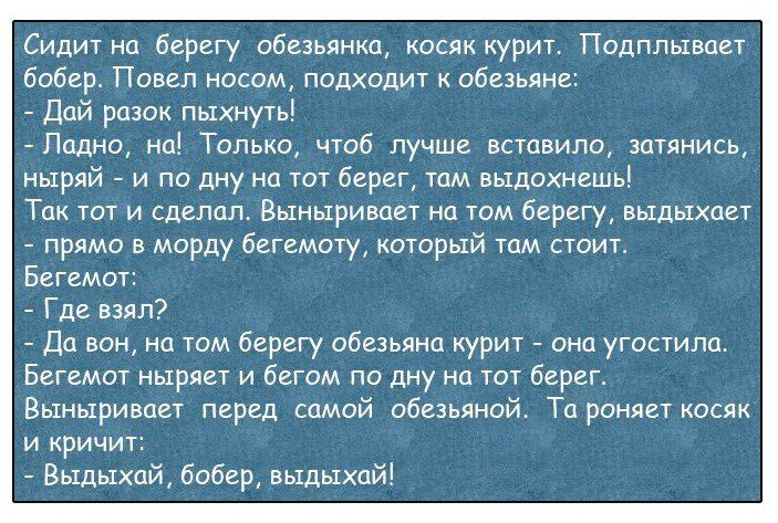 Сидит на берегу обезьянка косяк курит Падппывает бобер Павел носом подходит обезьяне дай разок пыхнуь Ладно мы Только чтоб лучше вставила затянись ныряй и по дну на тот берег том выдсхнешь Тик тот и сделал Выныривцвт на том берегу выдыхает прими в морду башищу который там стоит Бегемот Где взялэ _ до вон на том берегу обезьяна курит онп угостили Ботомот дыр и бегом по дну на тот берег Выныриваг пе