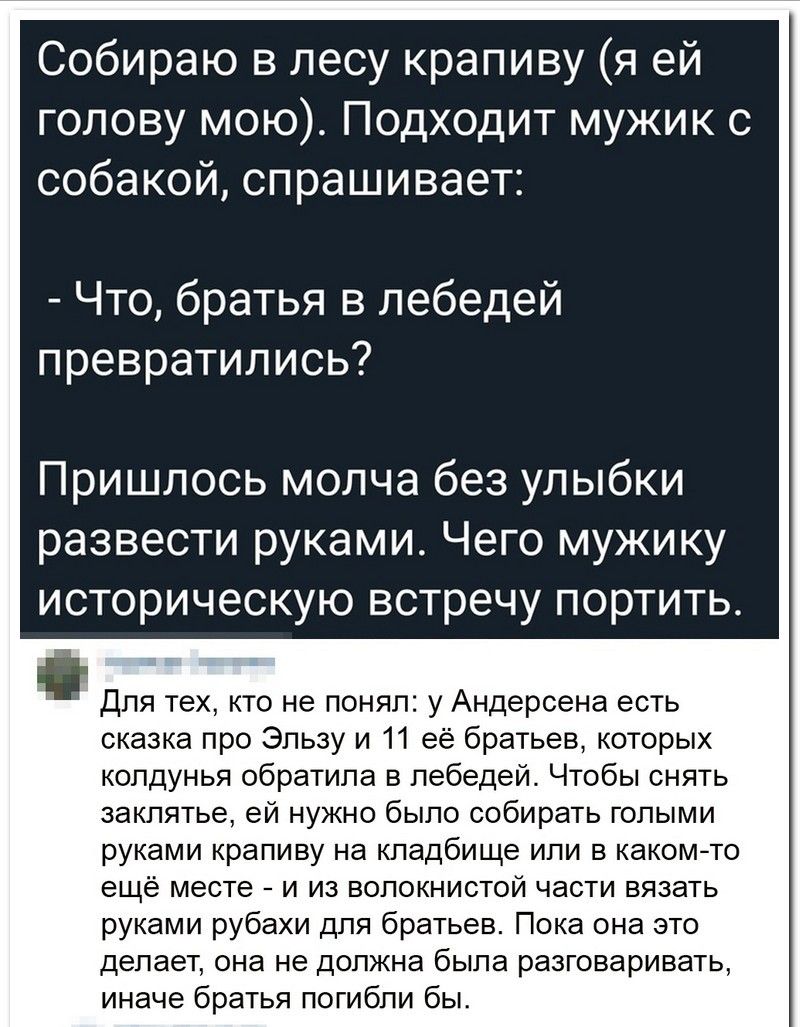 Собираю в лесу крапиву я ей голову мою Подходит мужик с собакой спрашивает Что братья в лебедей превратились Пришлось мопча без улыбки развести руками Чего мужику историческую встречу портить для тех кто не понял у Андерсена есть сказка про Эльзу и 11 ее братьев которых колдунья обратила в пебедеи Чтобы снять заклятье ей нужно было собирать голыми руками краливу на шадбище или в какомто еще месте 