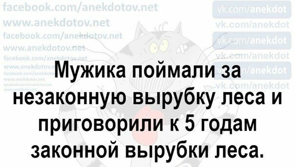 Мужика поймали за незаконную вырубку леса и приговорили к 5 годам законной вырубки леса снех9оо6 _ нее
