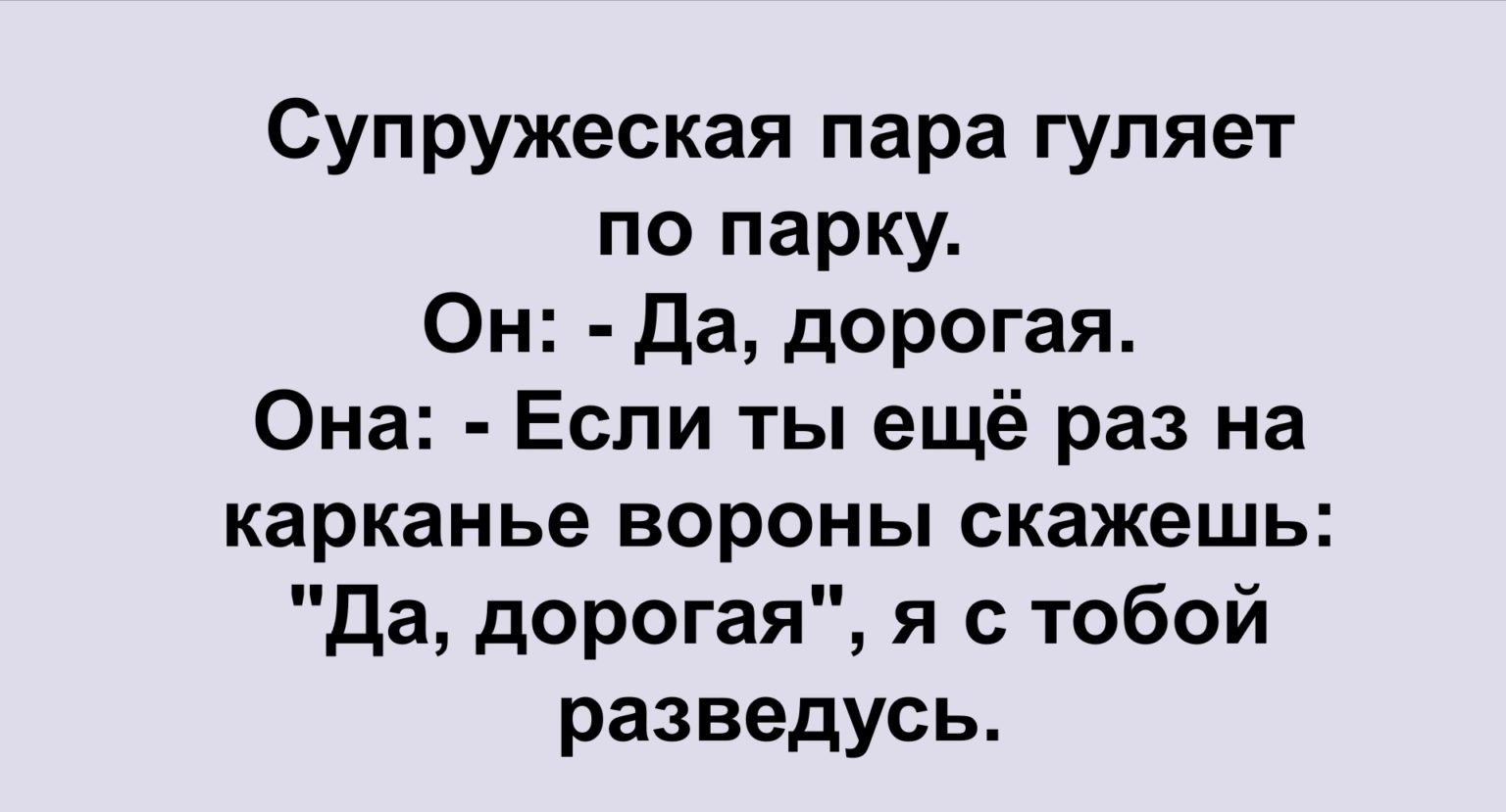 Супружеская пара гуляет по парку Он Да дорогая Она Если ты ещё раз на карканье вороны скажешь да дорогая я с тобой разведусь