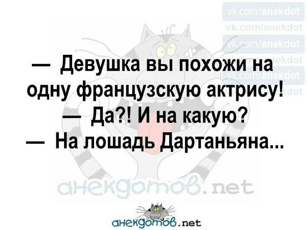 девушка вы похожи на одну французскую актрису Да И на какую На лошадь дартаньяна сиек пе
