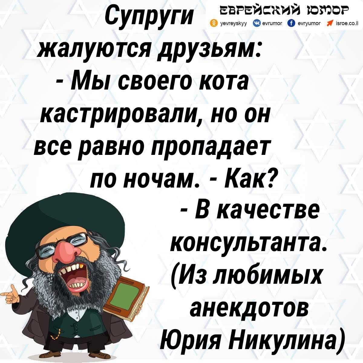 Супруги ЕЁЁЁЁЕЁЁЗЗЁЦ жалуются друзьям Мы своего кота кастрировали но он все равно пропадает по ночам Как В качестве консультанта Из любимых анекдотов Юрия Никулина