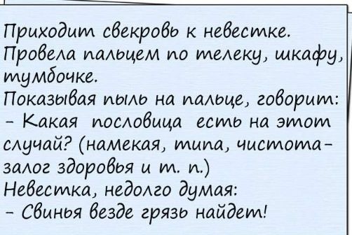 Приходим свекровь к невестка Пробащ иадщвм по телеку щкафу тумбочке Показывая иымо на иглшие габарит Какая пословица есть на этом мучай намекая идиша чистота залаг здоровья и ИА и Невестка недолго думая свинья везде грязь найдет