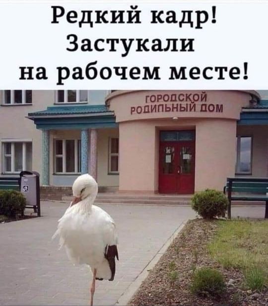 Редкий кадр Застукали на рабочем месте