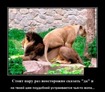 мр и ими ші им ноутом я усгр ишп чип в пм