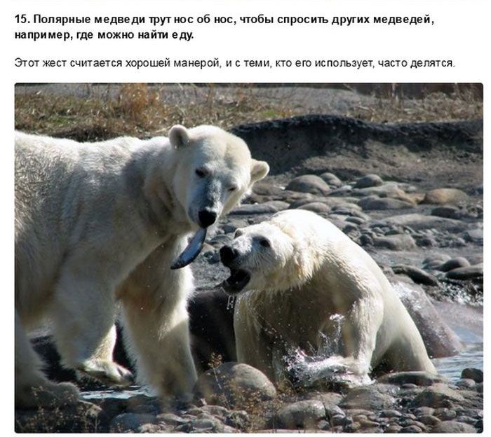 пм едцди в м сь дим дец ппрпиердде ь нижнем тм ма итд