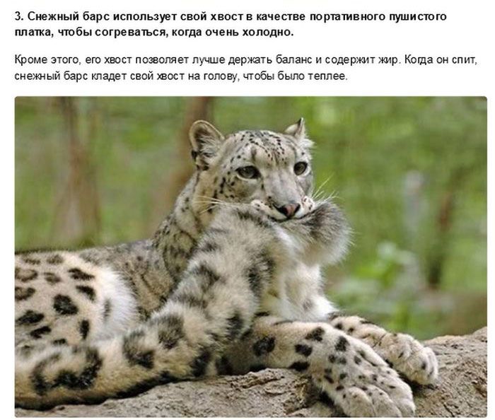 сие ина от ым ы юр тнт тип чтбы гири мя хоу плит шь нп шп пазами Амнезия ц Били и из и Кощ сменный в и сны ма из мы что мо пмк