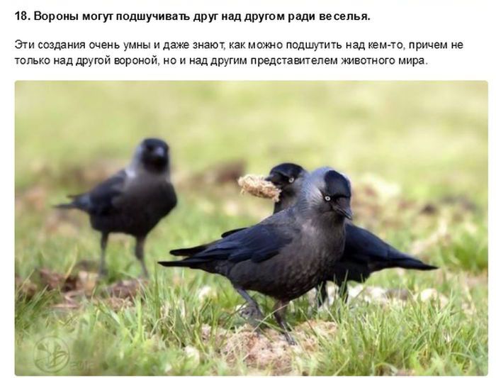 мы мир лм др п в ка ш пол и р Лигой то а и идти мы