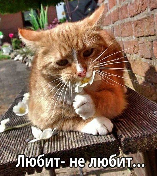 _ Х вать щийд