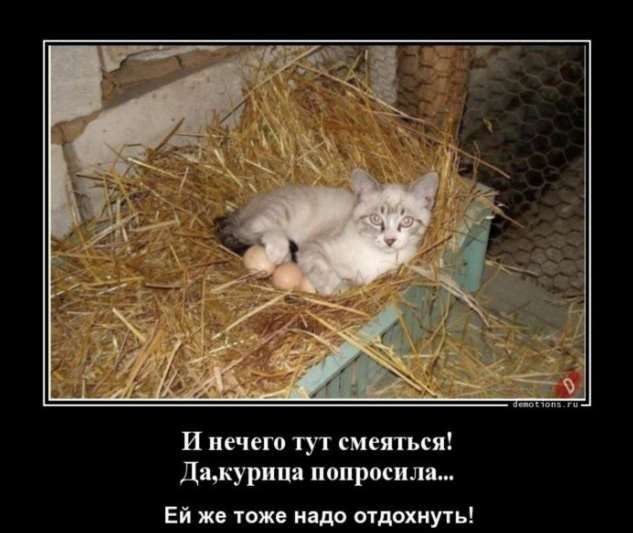 И вечно тут смеяться дщкурип попросил _ Ей юж ниш отдохнуть