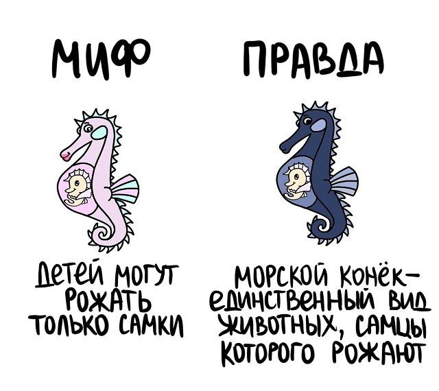 ПРАВДА ЛЕТОМ ОПТ МОРСКОИ конек 0 Ь ВЛМНСТБВННЬМ БМД ТОАЬКО ЯН ЖИЫТНЫХ ШЩЫ КОТОЮГО РОЖНЮТ