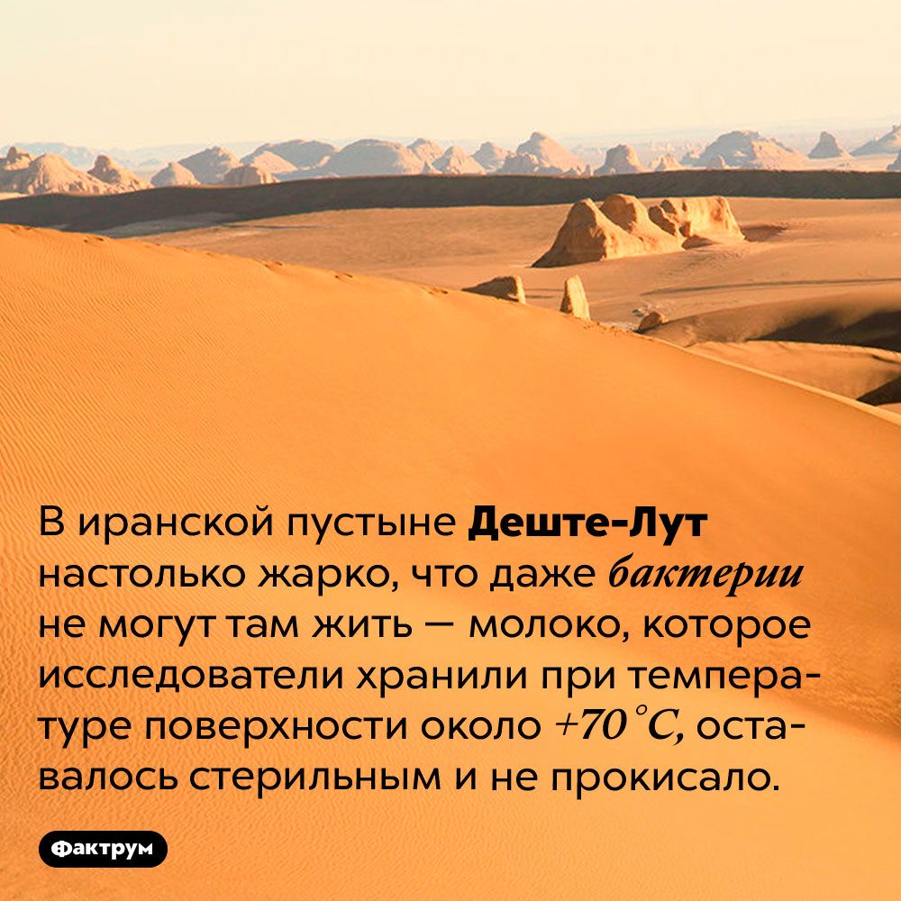 В иранской пустыне дети дут НЗСГОЛЬКО жарко ЧТО даже бактерии не могут там жить молоко которое ИССЛеДОВаТЕЛИ хранили ПИИ ТЕМПЕРЗ _ туре поверхности скопа 70 С остз Ё вапось аерильным и не прокисалц