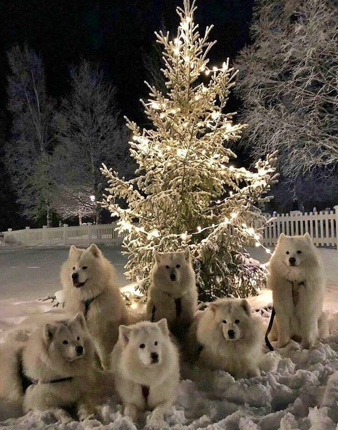 пшщш