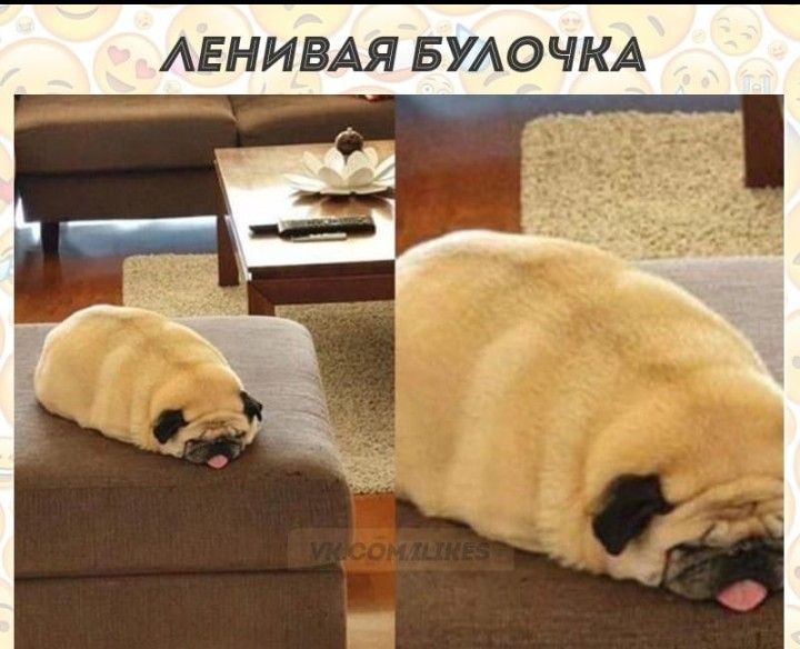 АЕНИВАЯ БУАОЧКА
