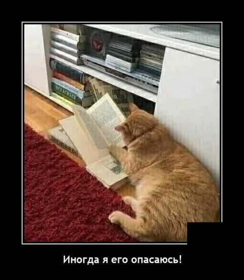 Иногда я его опасаюсь
