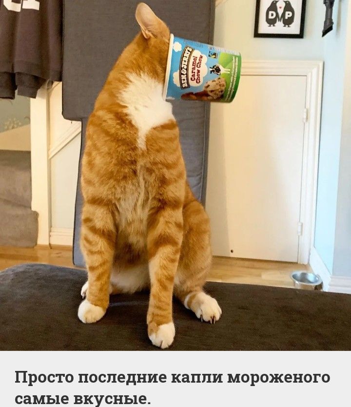 Просто последние капли мороженого самые вкусные