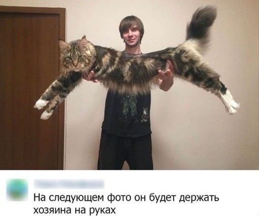 На следующем фото он будет держать хозяина на руках