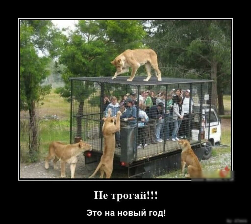 Не трогай а ни новый шдг
