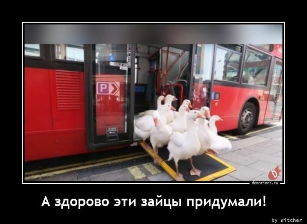 А здорово эти зайцы придумали