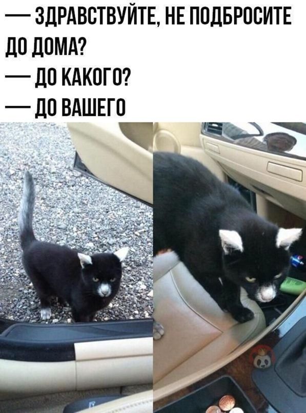 ЗДРАВСТВУЙТБ НЕ ПОДБРОСИТЕ ДО ДОМА ДО КАКОГО _ дО ВАШЕГО