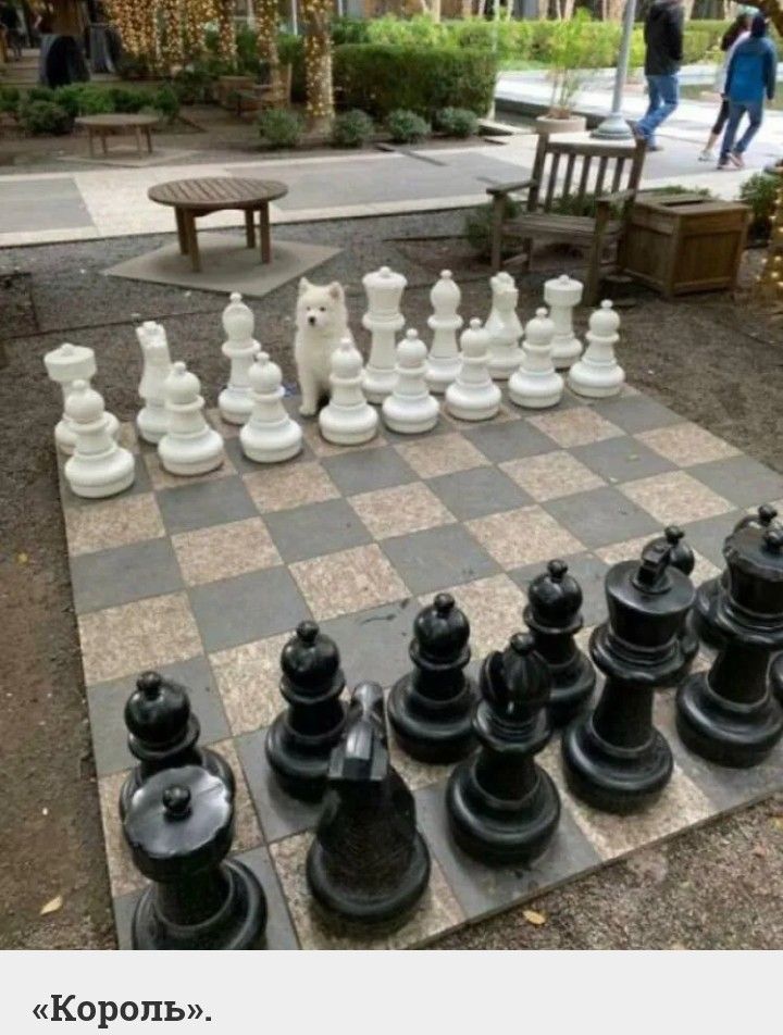 Король