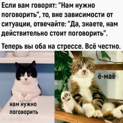 Если вам говорят Нам нужно поговорить то вне зависимости от ситуации отвечайте да знаете нам действительно стоит поговорить Теперь вы оба из стрессе Всё честно _ поговорить