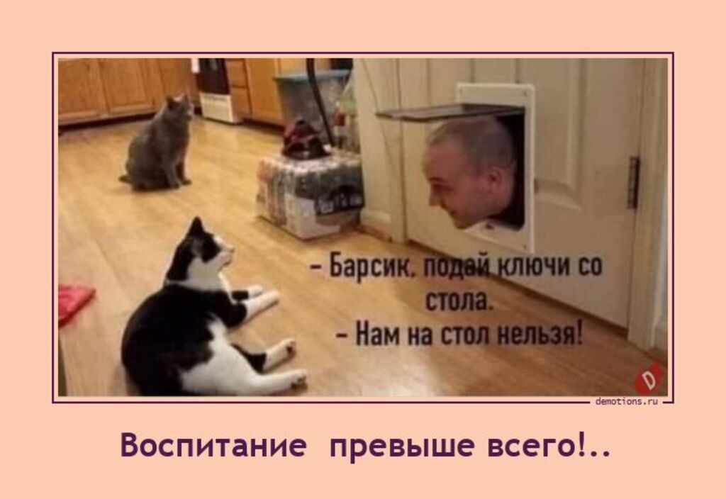 Впспипние превыше всего