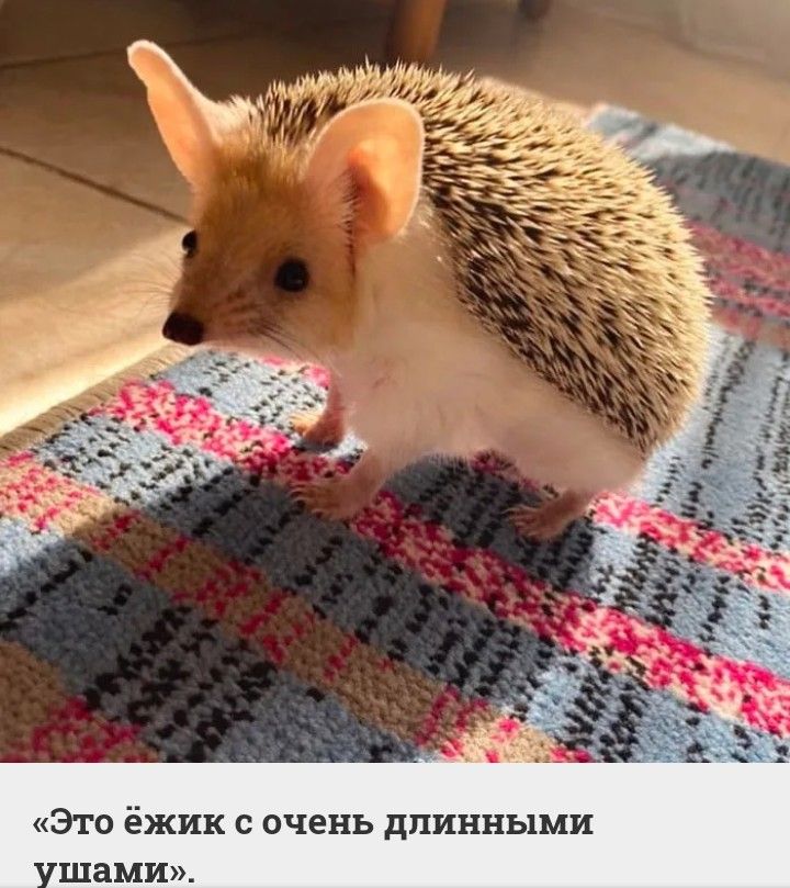 Е Е К В Н Е 4 И К Е М Н в