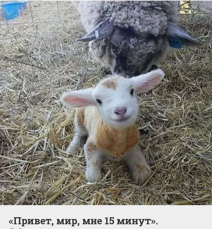 Привет мир мне 15 минут